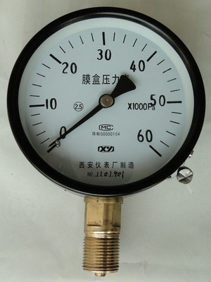 YE-100膜盒压力表 精准监测与可靠测量的首选仪器